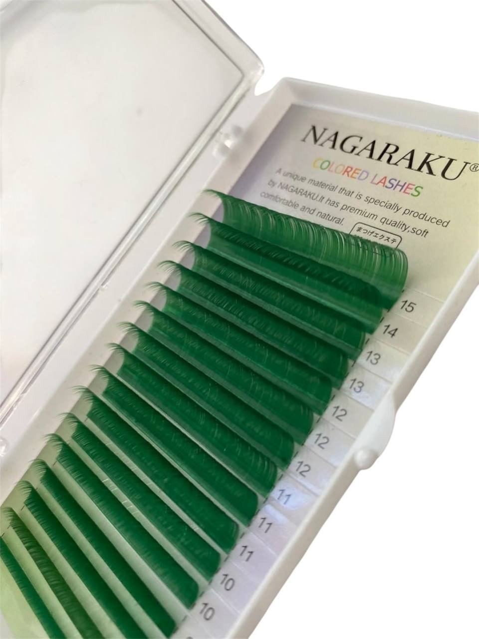 photo_2026-01-22_16-38-17